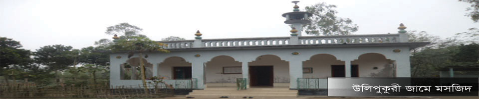 উলিপুকুরী জামে মসজিদ