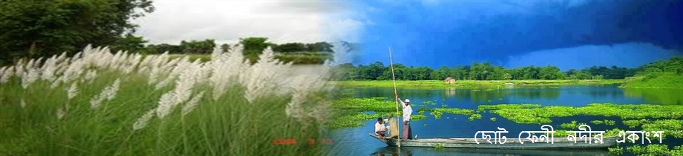 ছোট ফেনী নদীর একাংশ