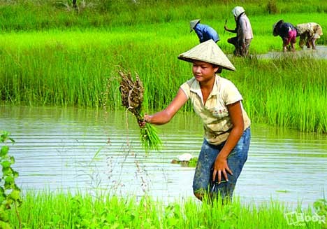 কৃষি ও প্রাণিসম্পদ