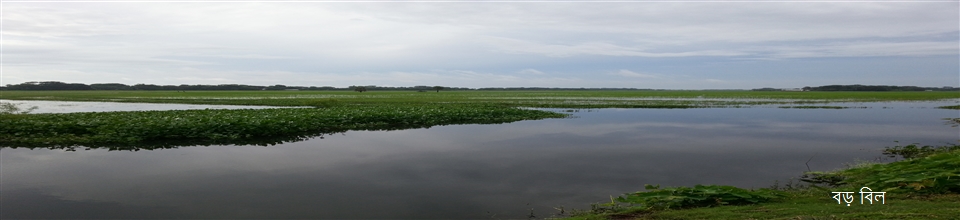 বহুগ্রামের প্রকৃতিক মনমুগ্ধকর দৃশ্য
