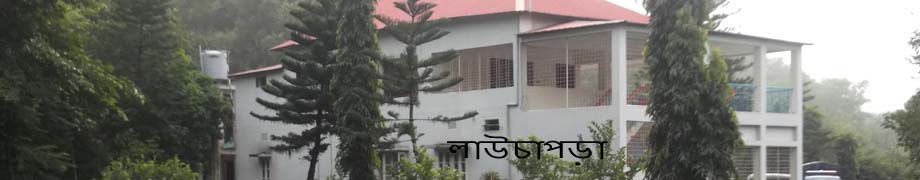 লাউচাপড়া