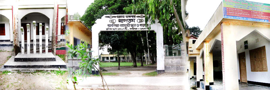 বলদিয়া ইউনিয়ন পরিষদ ও স্কুল