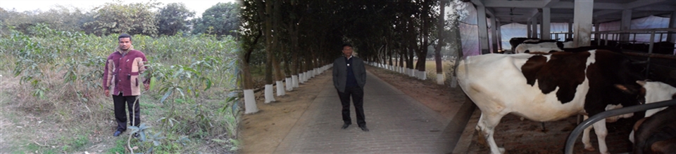 বল্লভের খাস