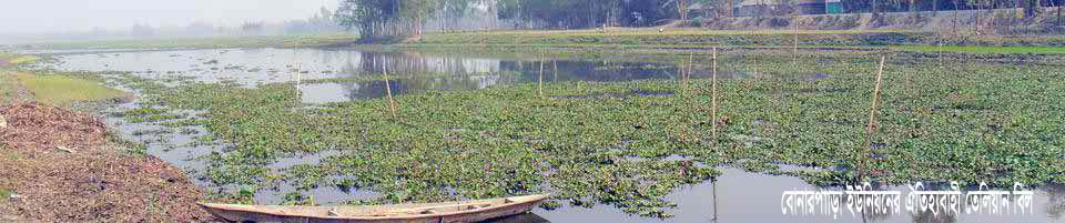 বোনারপাড়া ইউনিয়নের তেলিয়ান বিল
