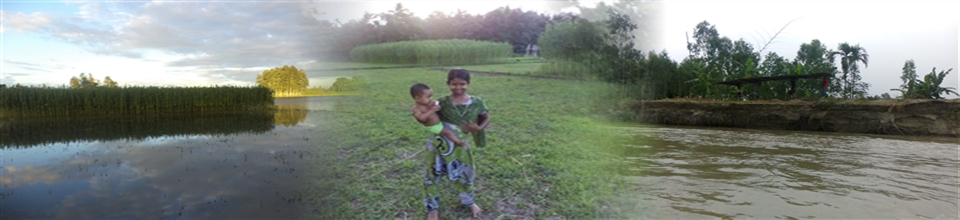 বলদমারা গ্রাম