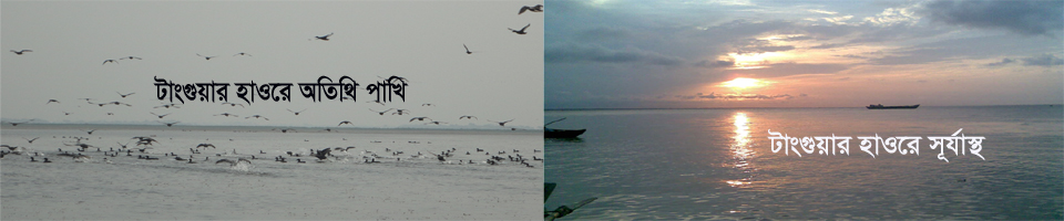 প্রাকৃতিক সৌন্দর্য্যে টাংগুয়ার হাওর।