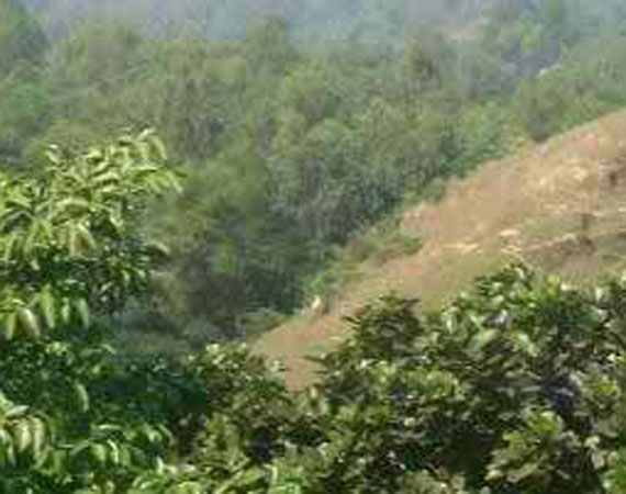 ফটোগ্যালারী