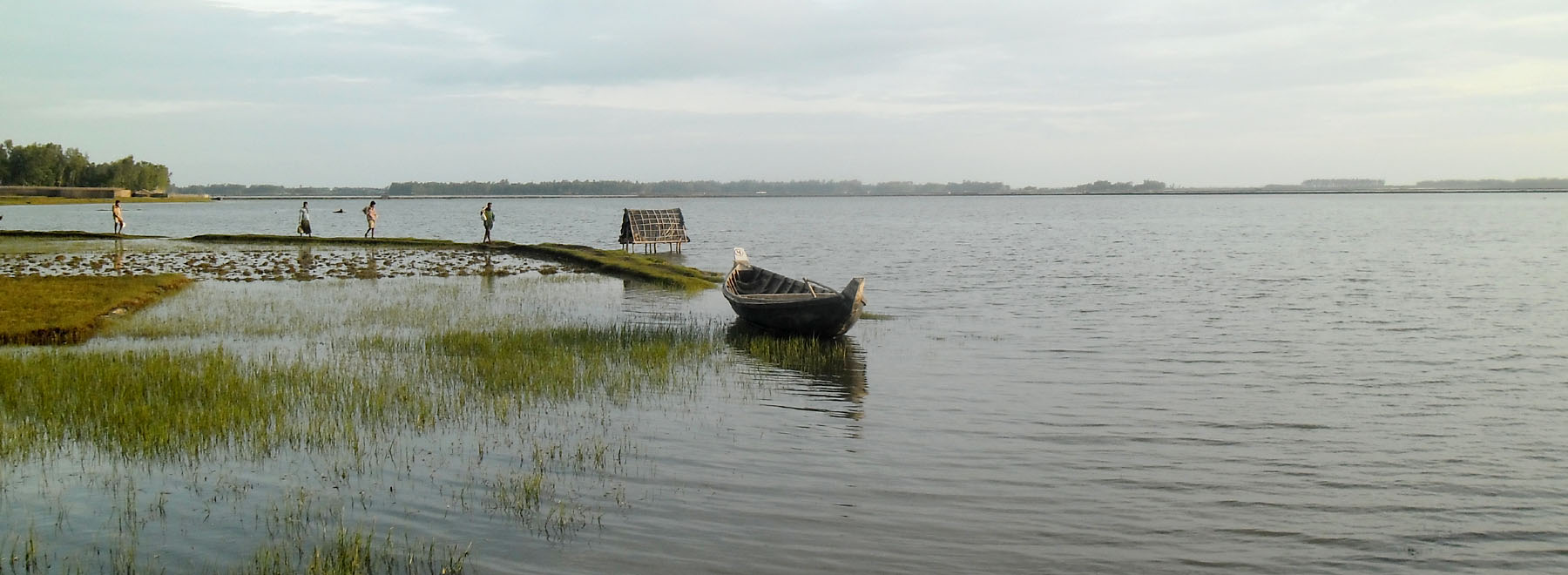 ঐতিহ্যবাহী মাছের প্রজেক্ট।।