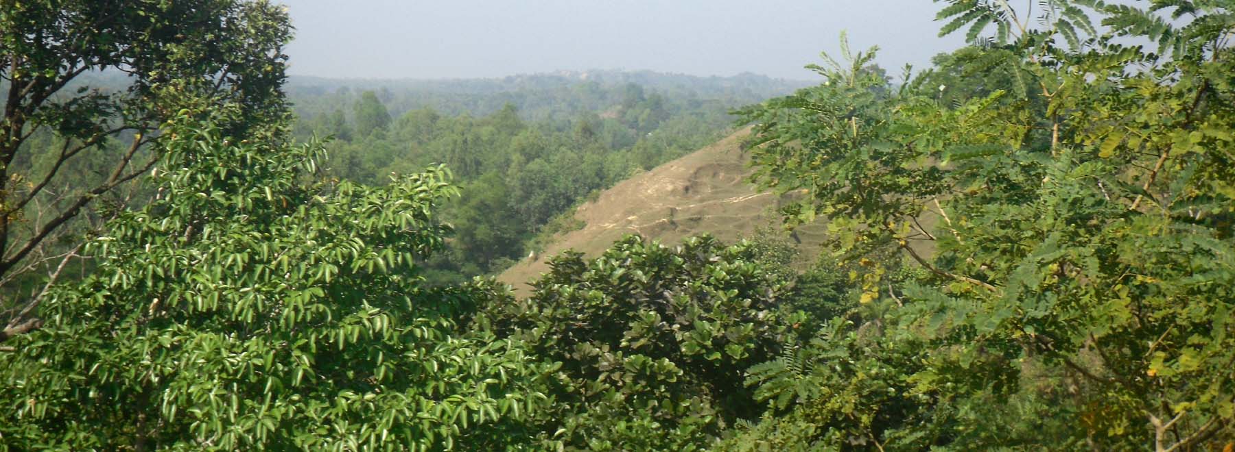 পাহাড় ও সবুজে ঘেরা বড়মহেশখালী ইউনিয়ন।