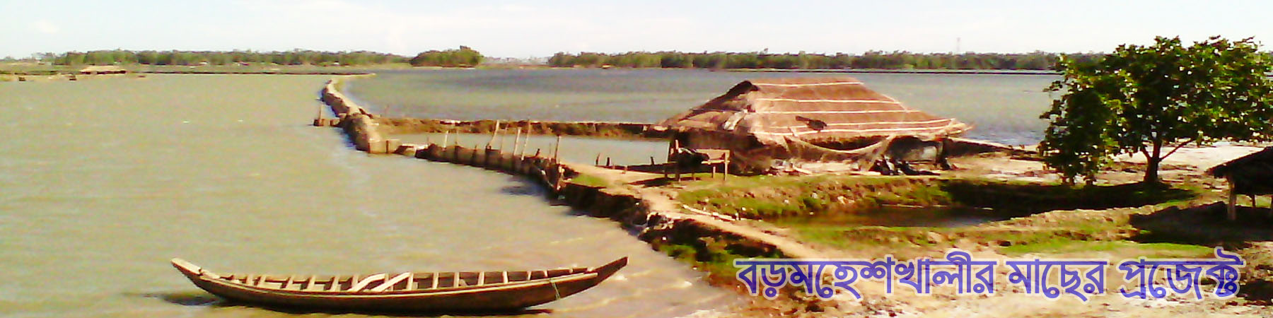 মাছের প্রজেক্ট