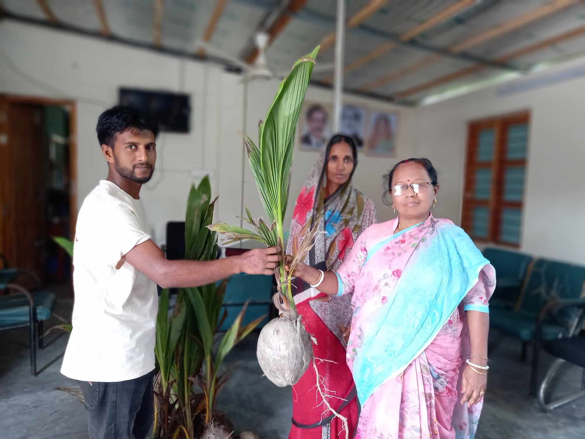 ২১নং বোড়াশী ইউনিয়নের জনগনের মাঝে নারিকেল গাছ বিতরন করেন ইউপি কৃষি কর্মকর্তা