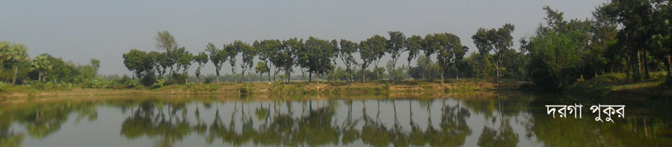 দরগা পুকুর