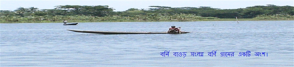 বর্ণি বাওড়ের পূর্বপাশের বর্ণি গ্রামের একাংশের ছবি।