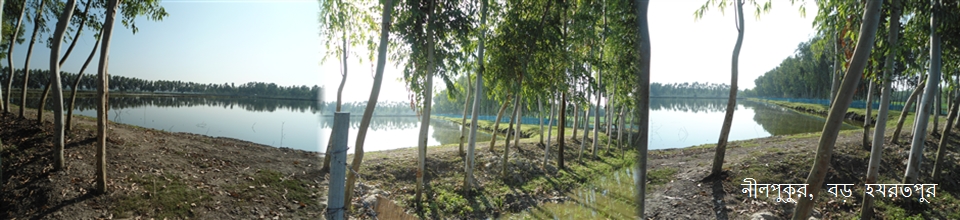 নীলপুকুর মৎস্য খামার