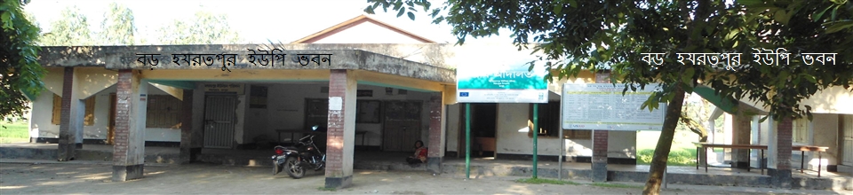 বড় হযরতপুর ইউপি ভবন