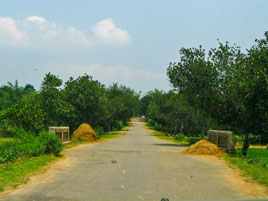 স্থাণীয় সরকার প্রকৌশল