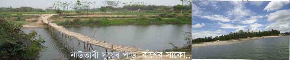নাউতারী সুয়ের পাড় এর বাশের সাকো
