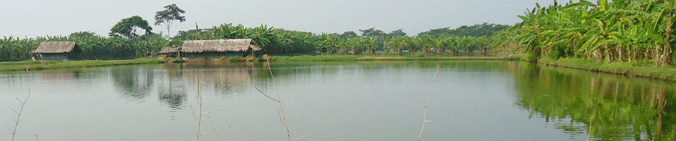 মৎস্য ঘের