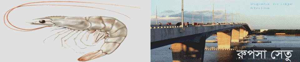 রূপসা সেতু