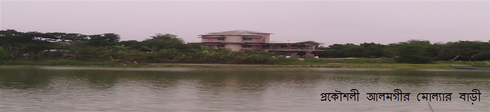 বৌলতলী ইউনিয়নের দৃশ্য