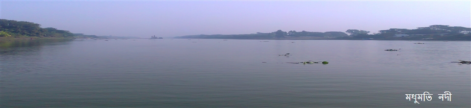 মধুমতি নদী