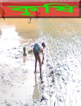 কৃষি ও প্রাণী সম্পদ