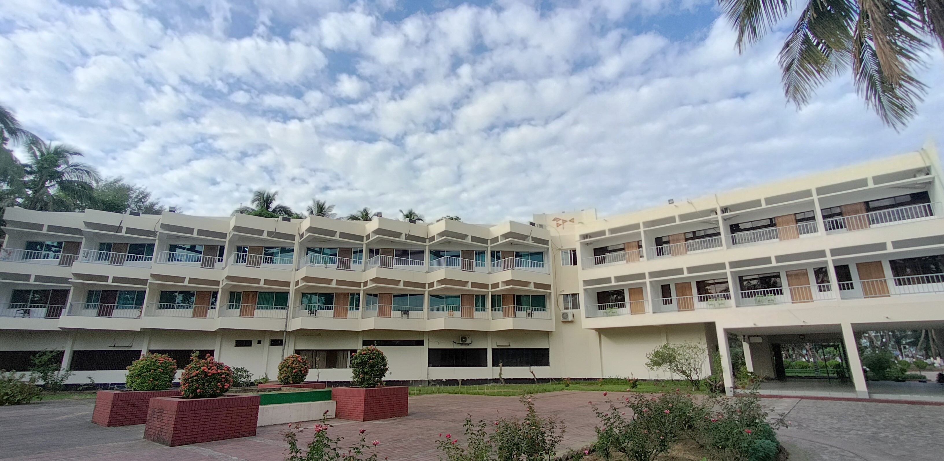 শৈবালের পিছনের পাশ
