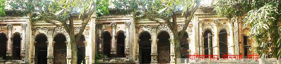 বালিয়াপাড়া জমিদার বাড়ির ধ্বংসাবশেষ