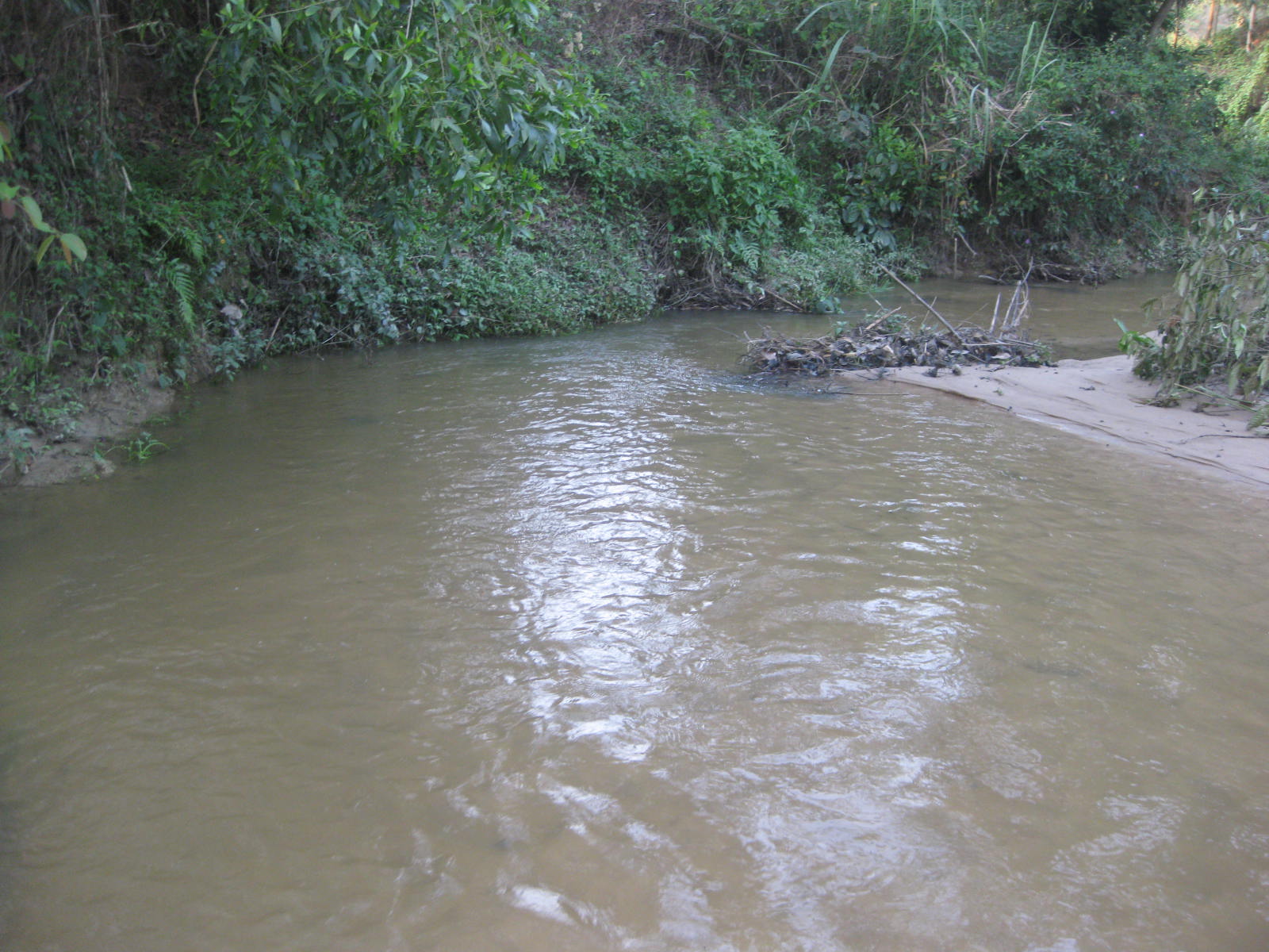 ফটো গ্যালারী