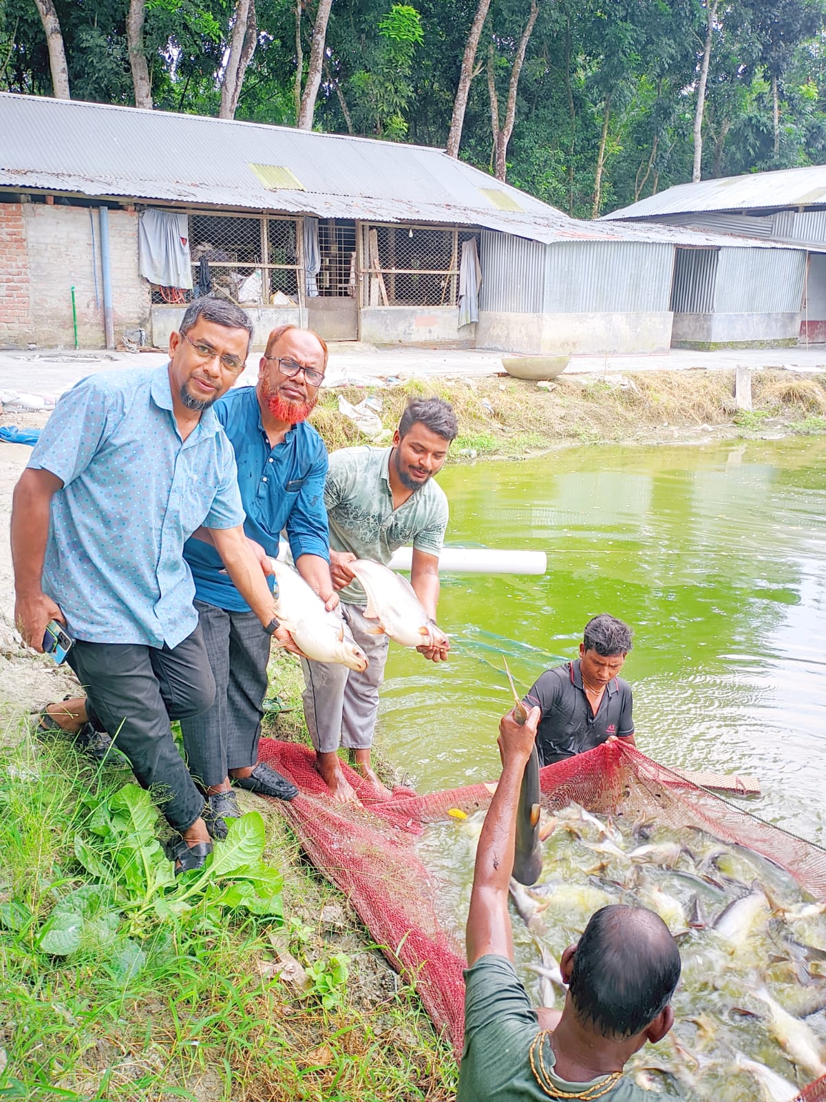 উপজেলা পল্লী উন্নয়ন কর্মকর্তা জনাব জাহিদুর রহমানের সফল খামারী জনাব আবু সালেহ মুসার খামার পরিদর্শন।