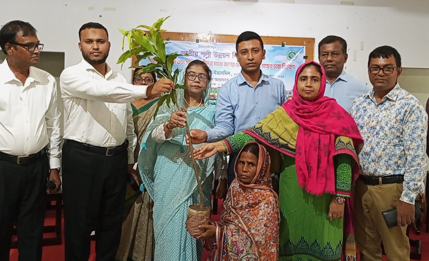 গাছের চারা বিতরণ