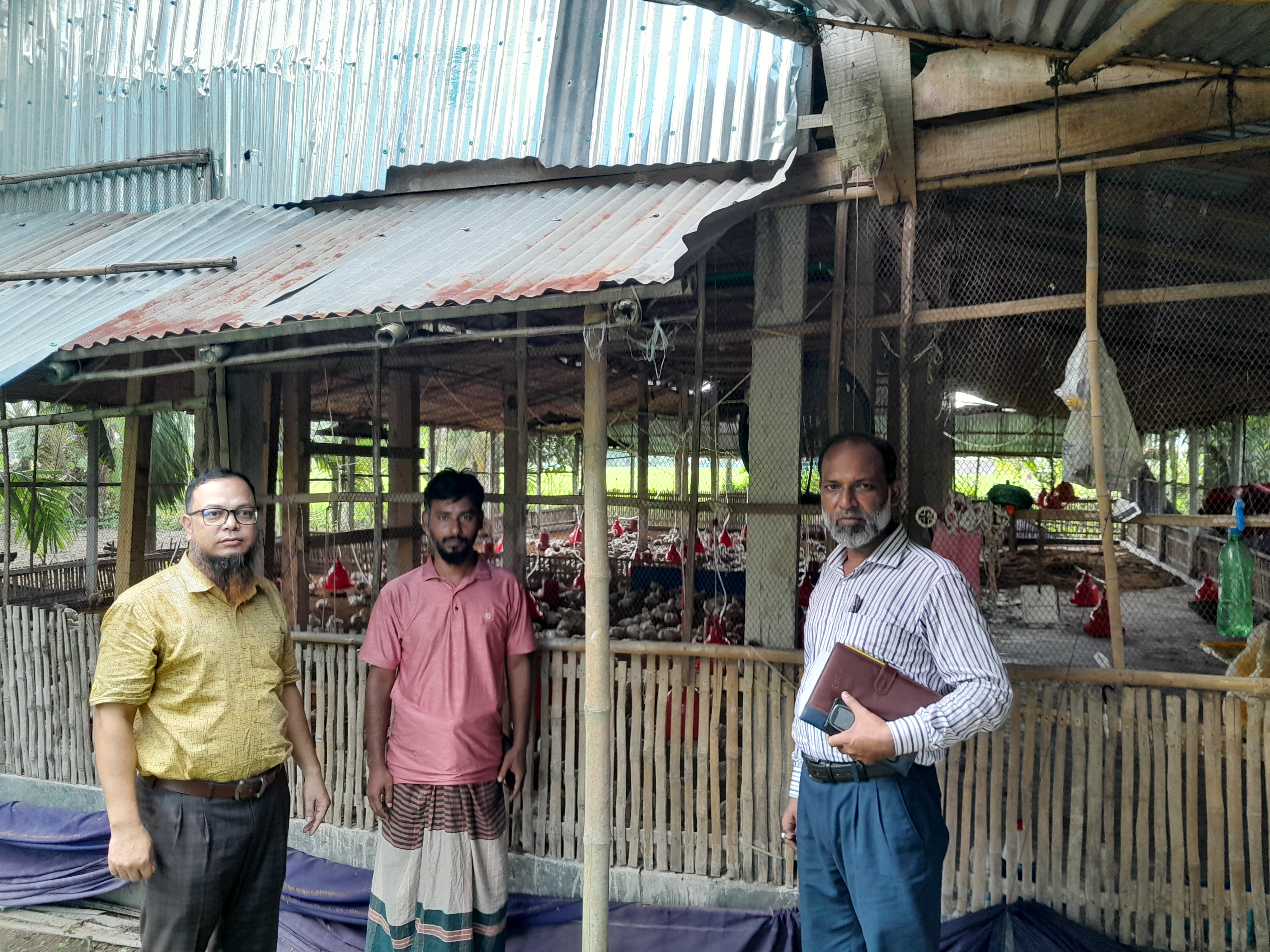 মরিচা অপ্রধান শস্য দল (ডিডি স্যার সহ)