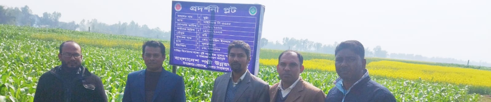 প্রদশনি