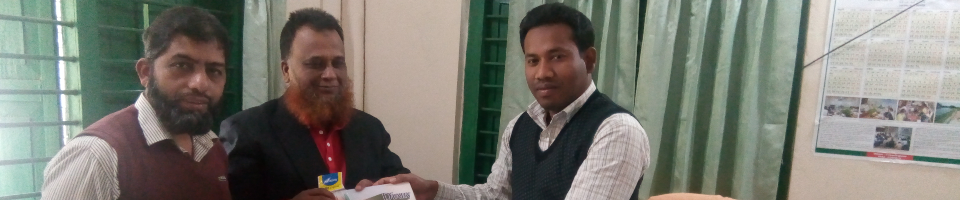 নতুন বছরের শুভেচ্ছা উপহার