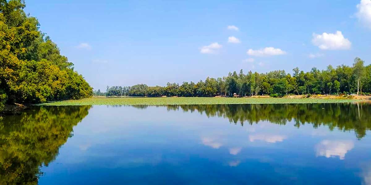 ব্যানার