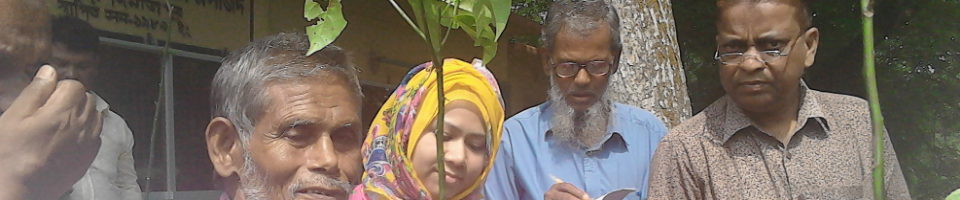 পিআরডিপি-৩ গাছ ও ময়লাফেলার ঝুড়ি বিতরণ