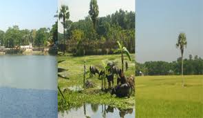 দৌলতখান