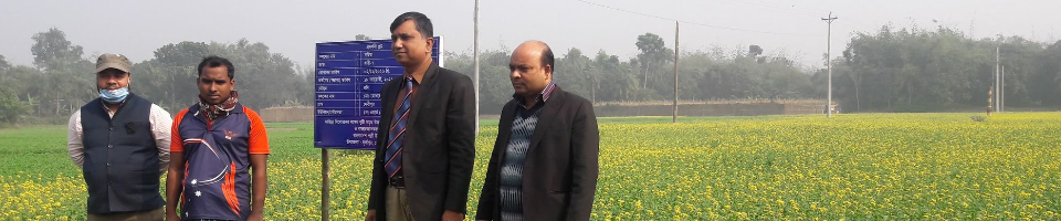 ব্যানার