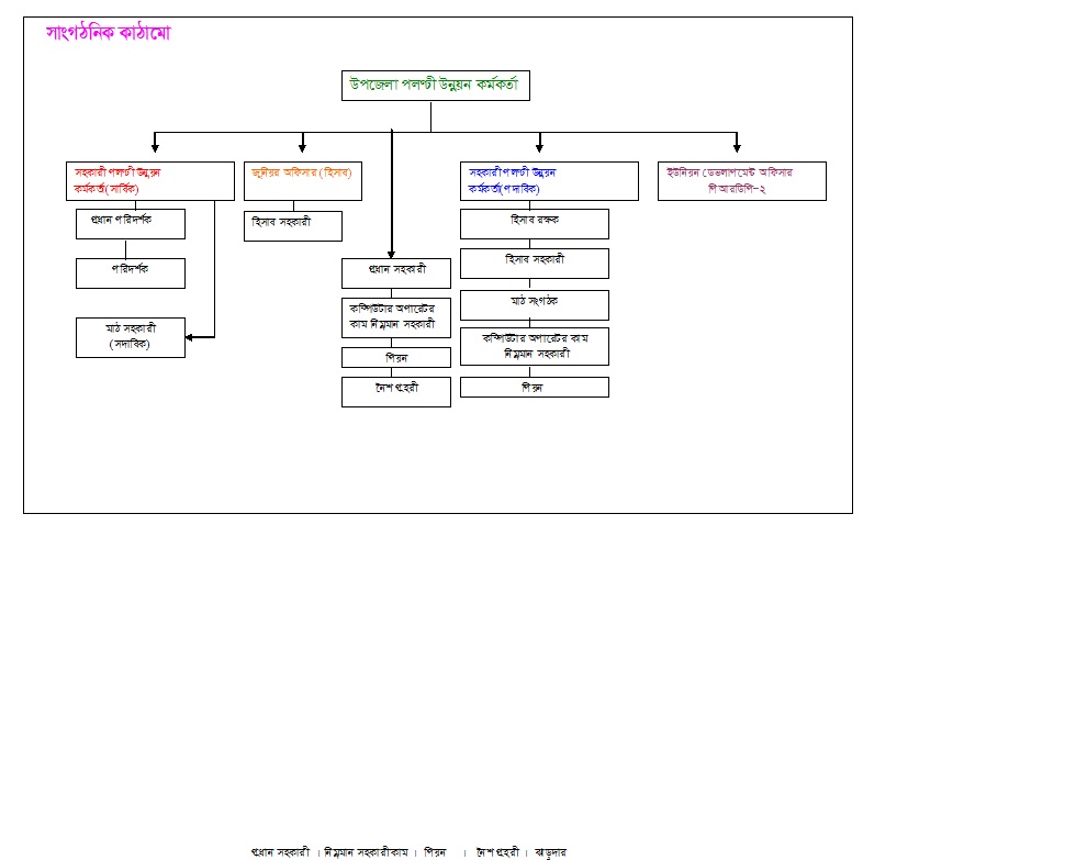 সাংগঠনিক কাঠামো