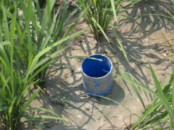 ফটোগ্যালারী