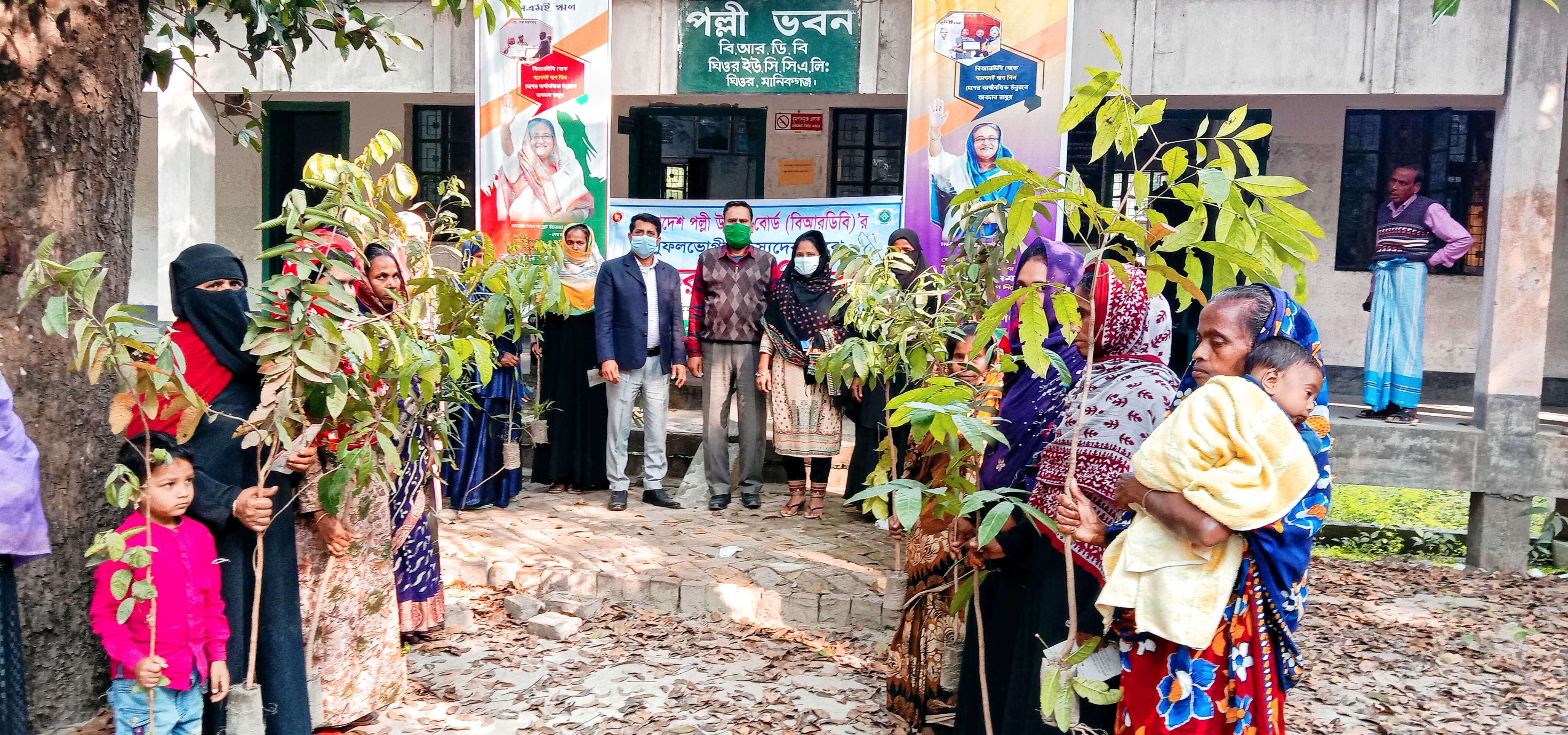 গাছের চারা বিতরণ