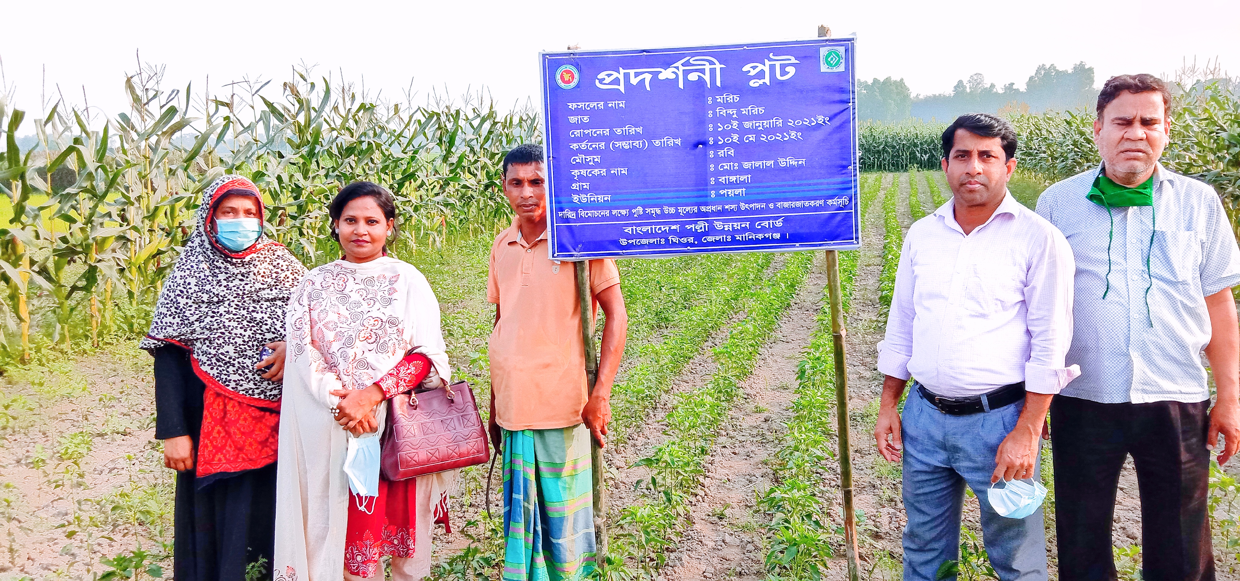 মাঠ পরিদর্শণ