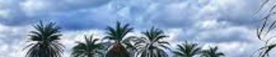 UPAZILA POLLY UNNAYON OFFICE-2021