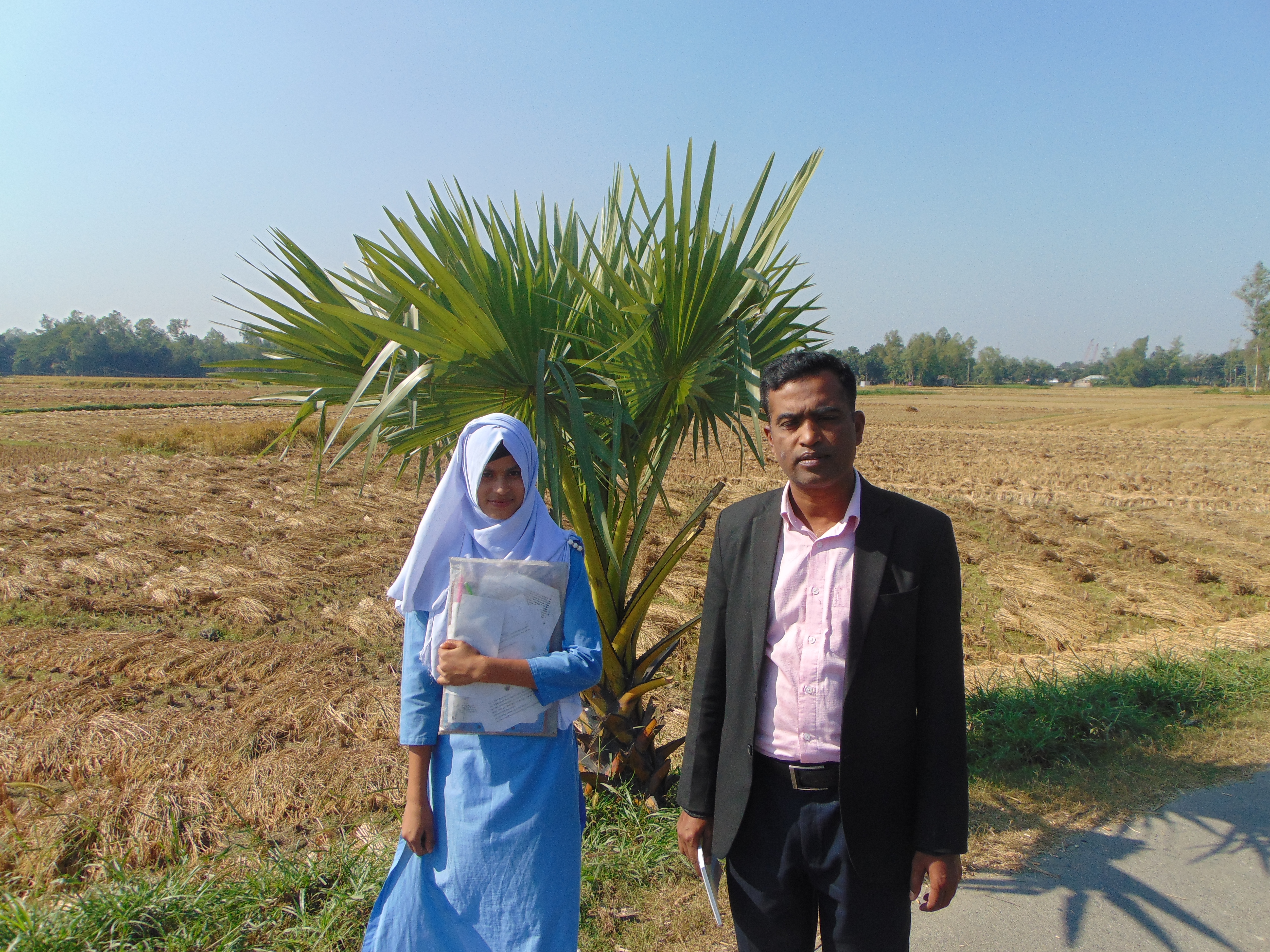 কামারখন্দ উপজেলায় ধান কাটা ছবি
