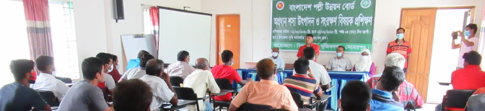 অপ্রধান শস্য