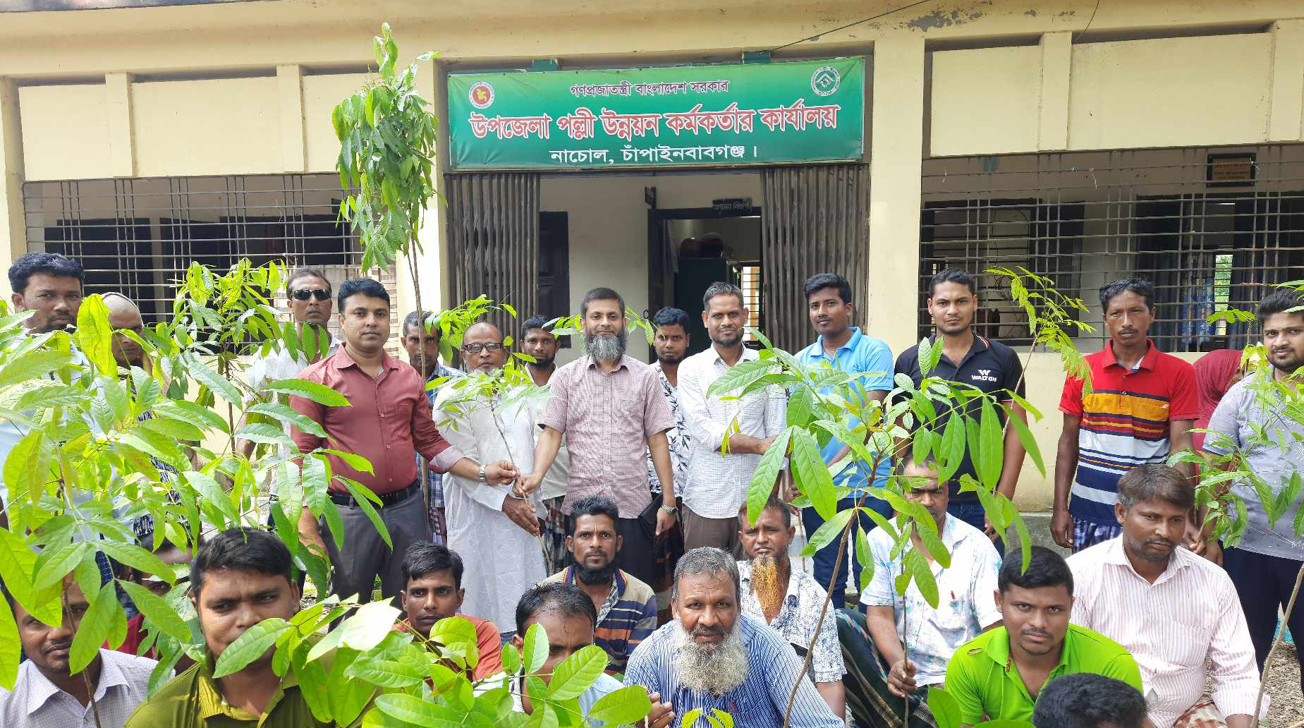 চারা বিতরণ