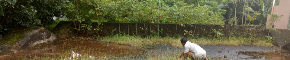 ব্যানার