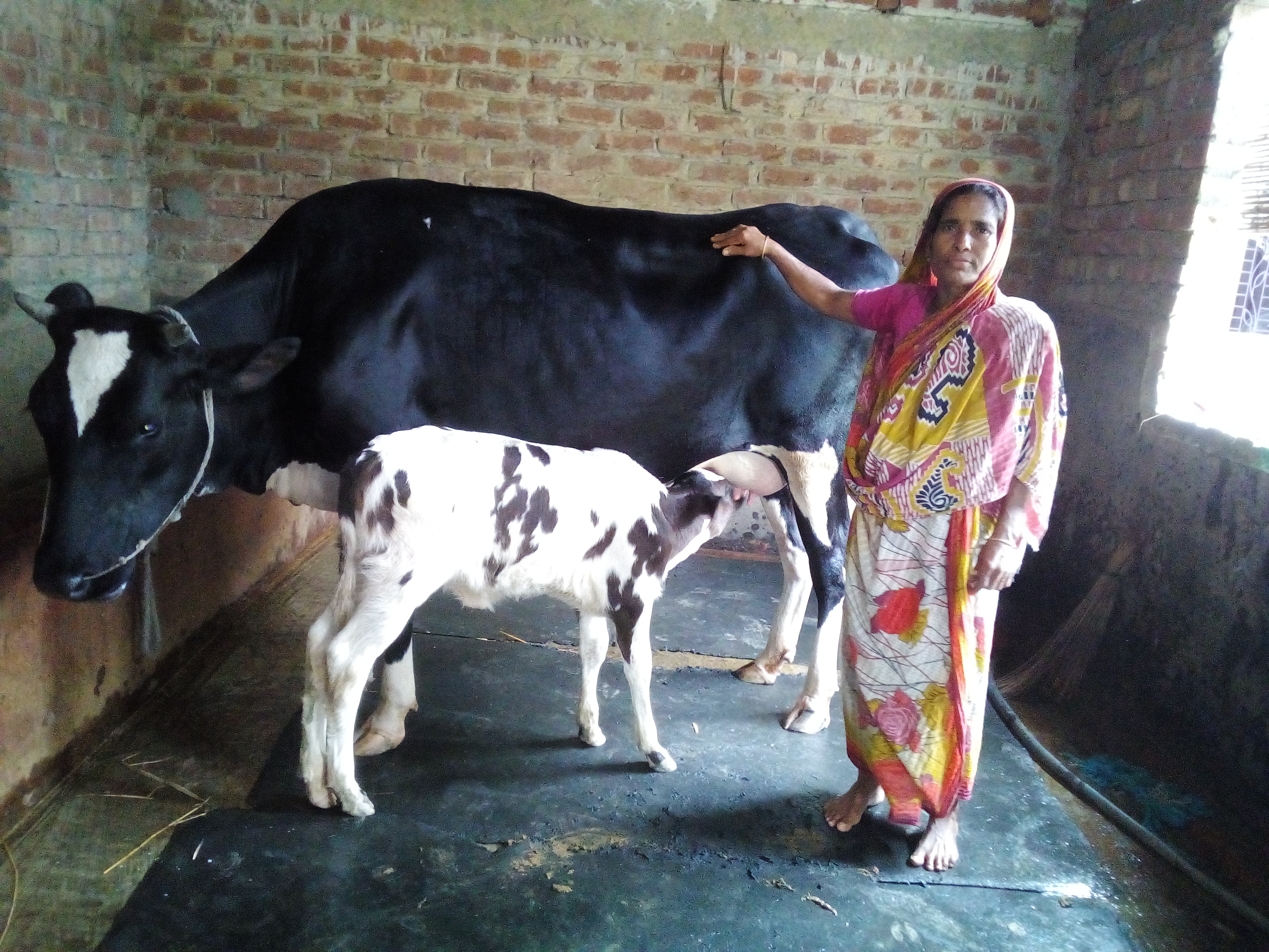 ফটোগ্যালারী