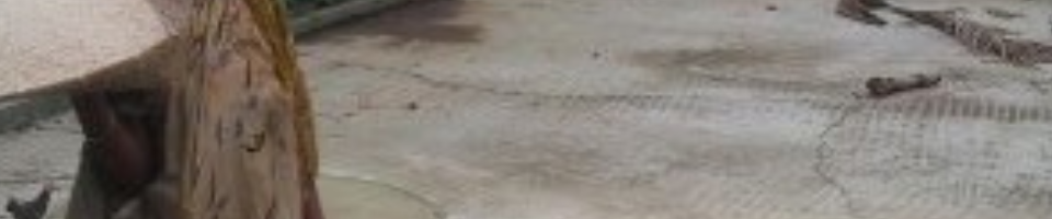 মাননীয় প্রধানমন্ত্রী