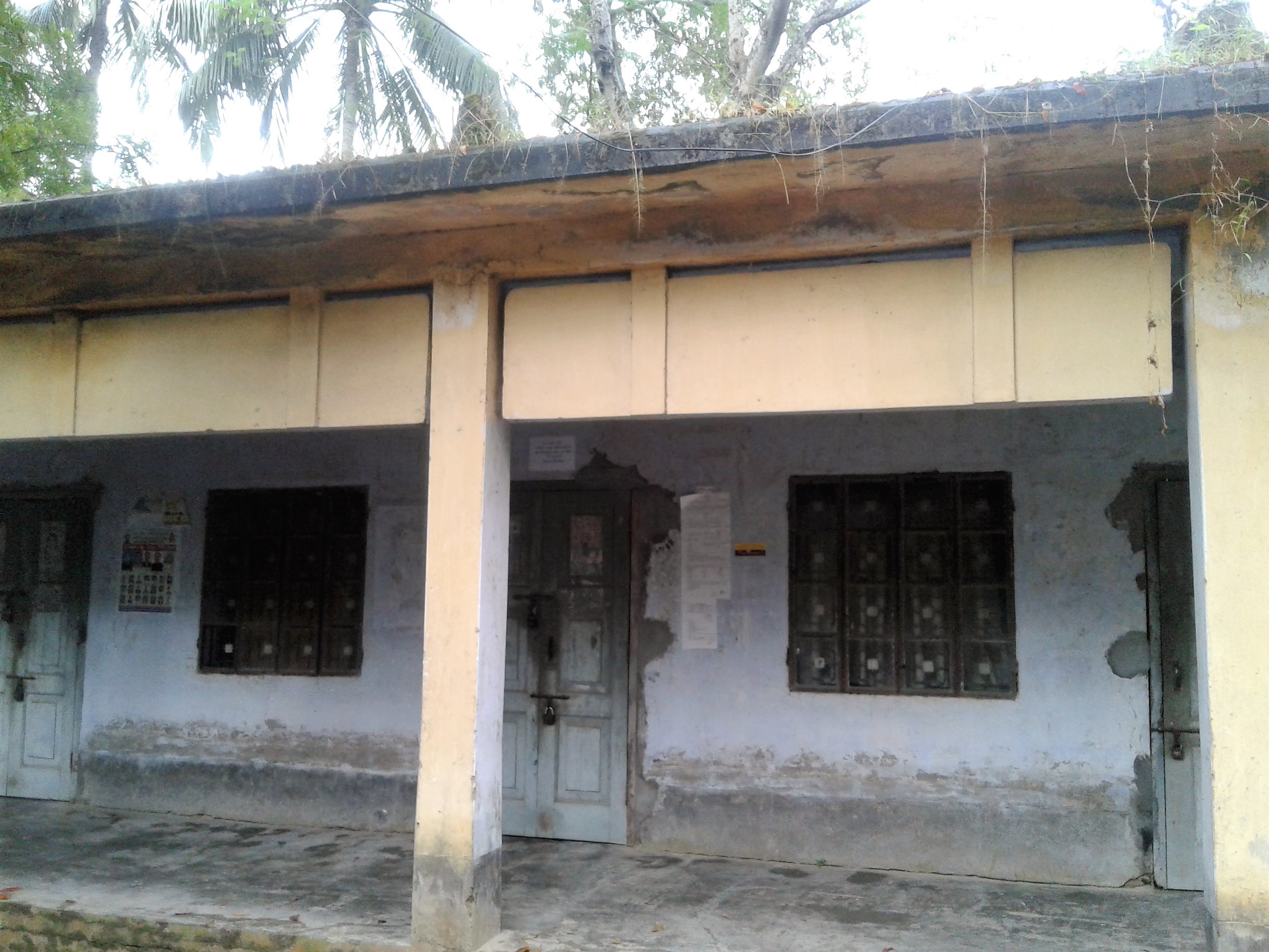 ফটো গ্যালারি